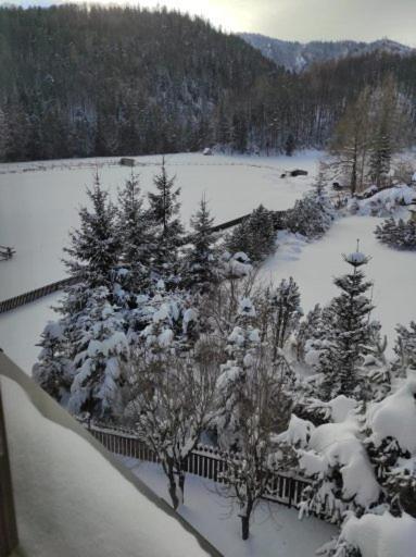 Apartament Rojka Закопане Экстерьер фото